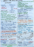 cell the unit of life....pdf